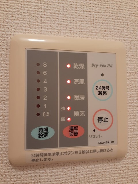 シングルカレント その他2