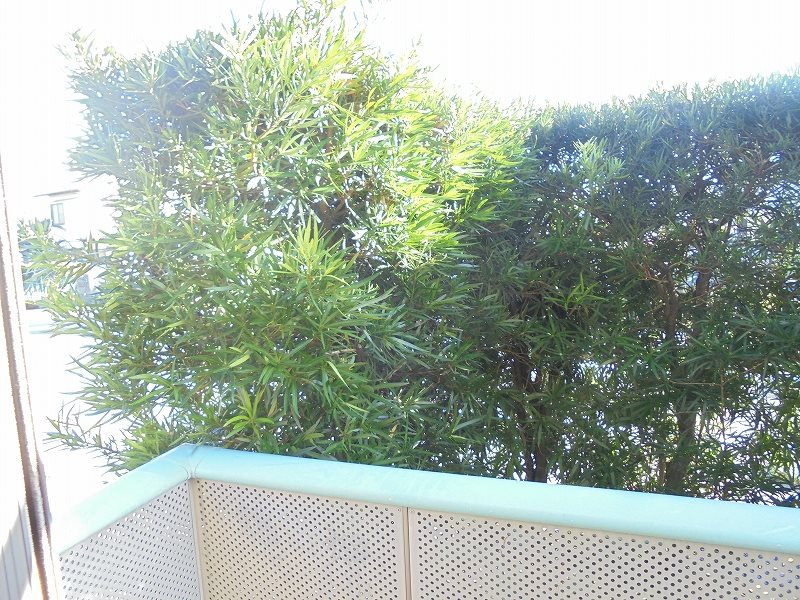 オージュ中久万 その他4