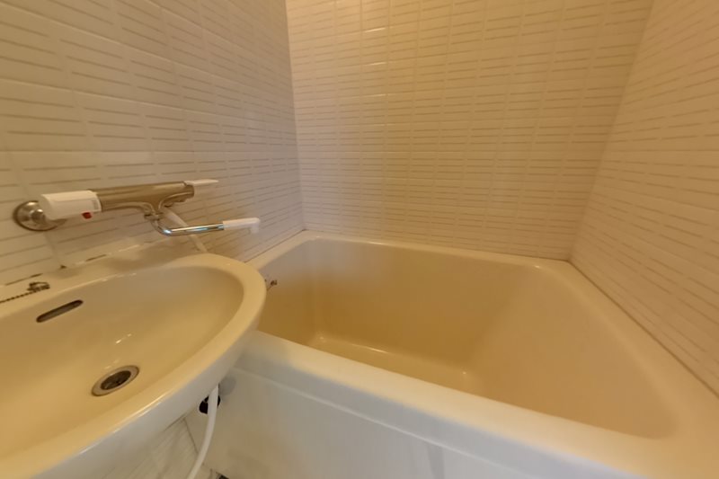 ＳＩＮＡＪＹＵＲＩＭＥ・ＡＲＫ その他10