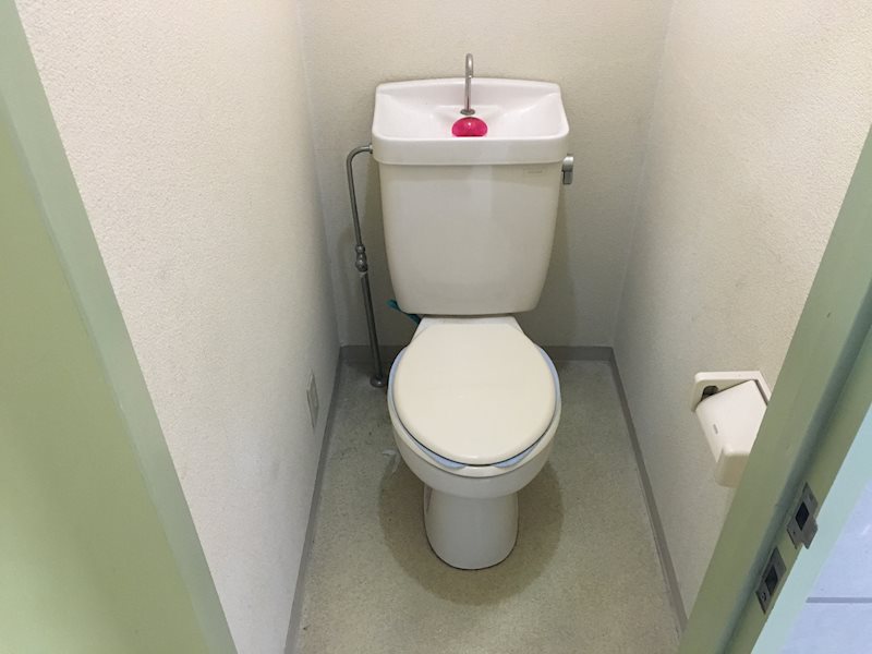 ＳＩＮＡＪＹＵＲＩＭＥ　ｌａｎａ（シナジュライムラナ） その他13