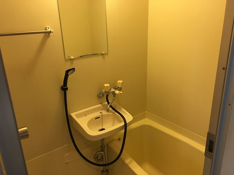 ＳＩＮＡＪＹＵＲＩＭＥ　ｌａｎａ（シナジュライムラナ） その他16