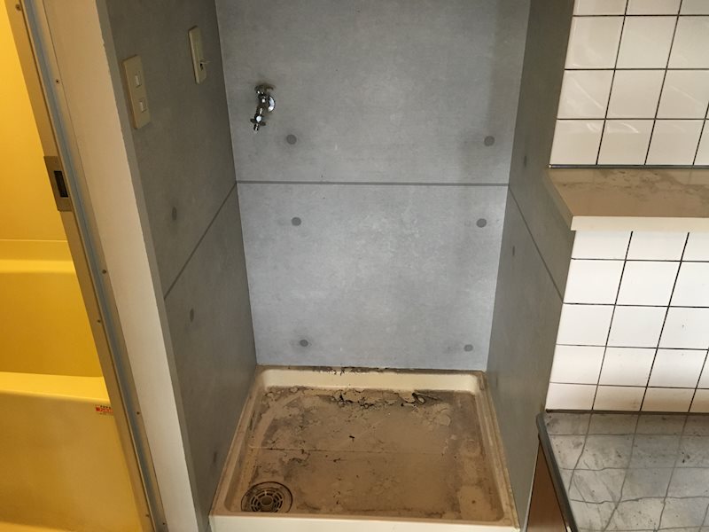 ＳＩＮＡＪＹＵＲＩＭＥ　ｌａｎａ（シナジュライムラナ） その他17