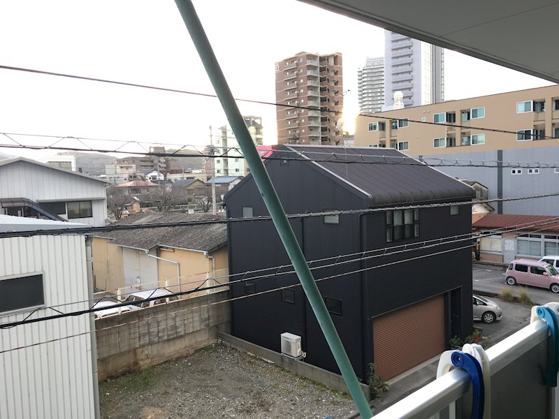 ＳＩＮＡＪＹＵＲＩＭＥ　ｌａｎａ（シナジュライムラナ） その他22