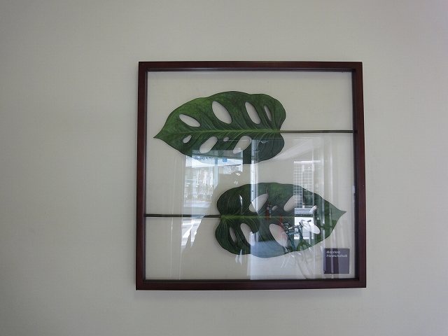 クレール本町 その他1