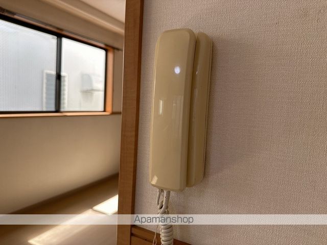 サンセベリア その他15