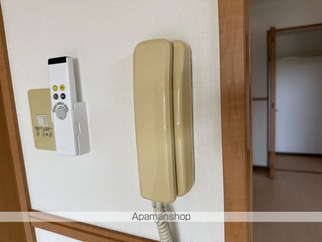 サンセベリア その他15