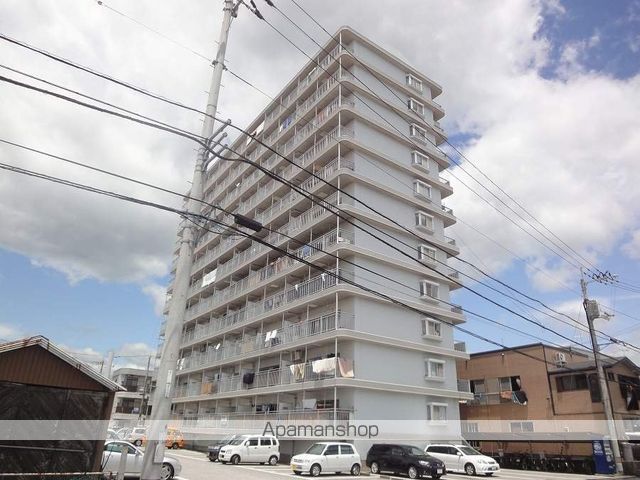 ロゼ２ その他2