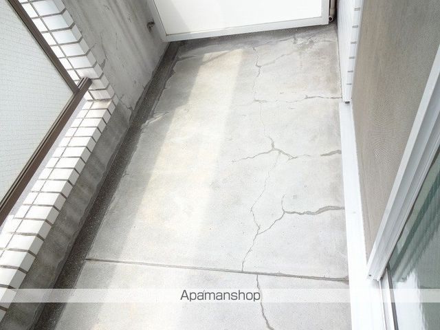 ドルフ高須 その他13