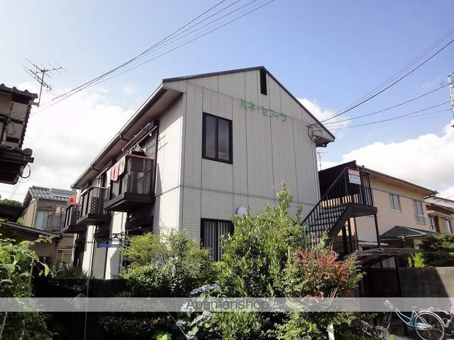 ルネ・セフィラ その他1