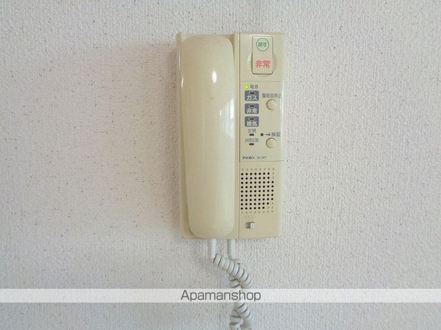 ＣＨＡＲＭＡＮＴ（シャルマン） その他15