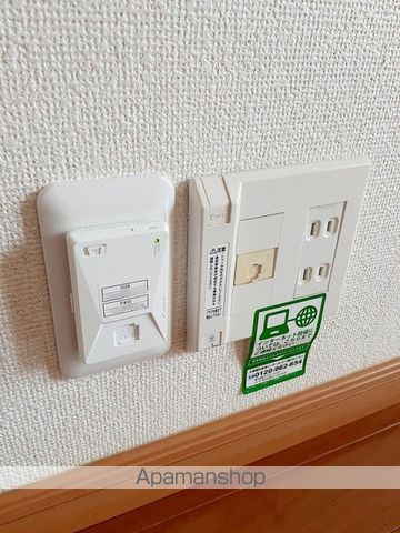 プリムローズ　Ｂ その他18