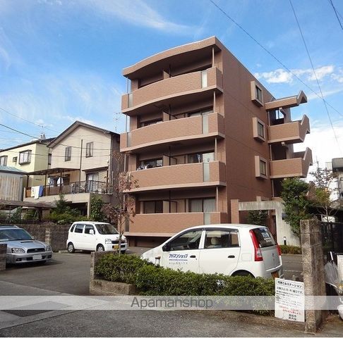 山帰来 その他1