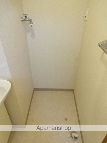 山帰来 その他17