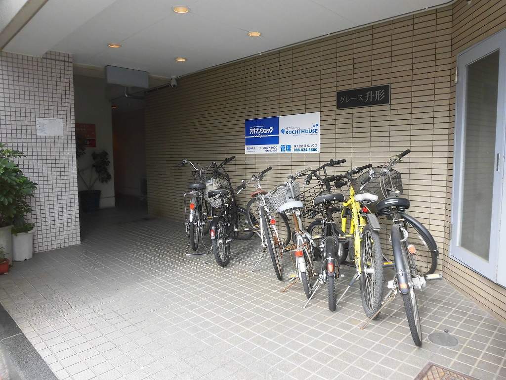 ＳＩＮＡＪＹＵＲＩＭＥ　ａｌｅｏ その他3