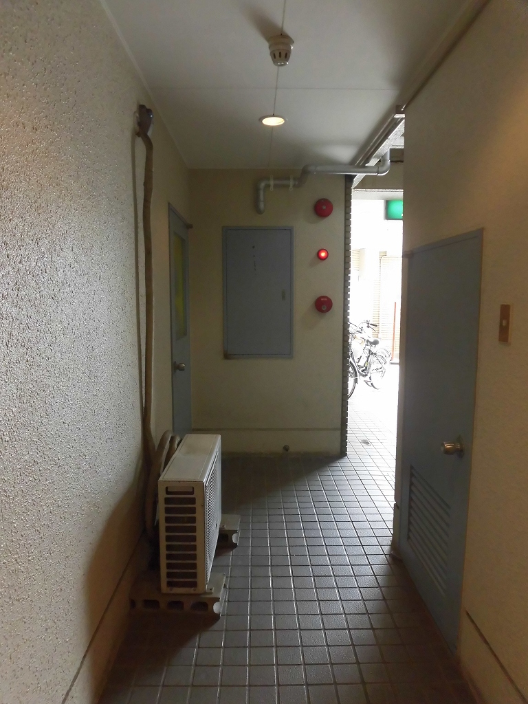 ＳＩＮＡＪＹＵＲＩＭＥ　ａｌｅｏ その他4