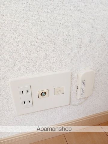 ヴィオラ　Ｙ．Ｋ その他18