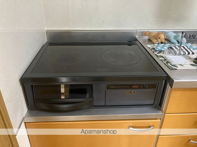 ハイツミレム その他