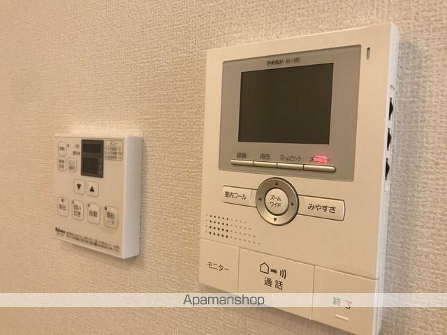 シイノキ その他