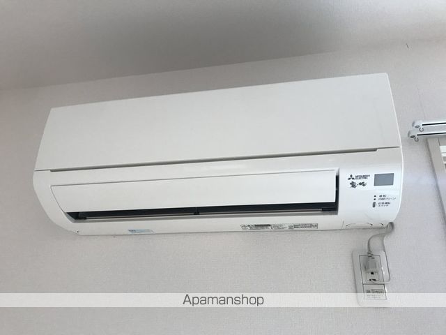 シイノキ その他