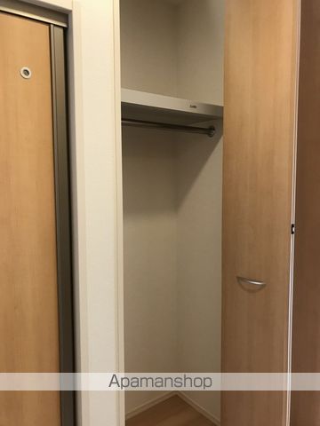シイノキ その他