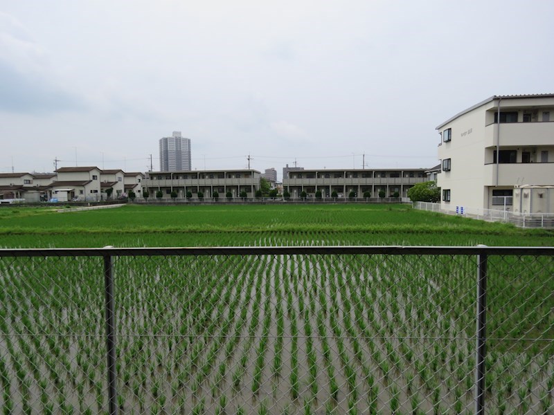 コーポ山川 その他4