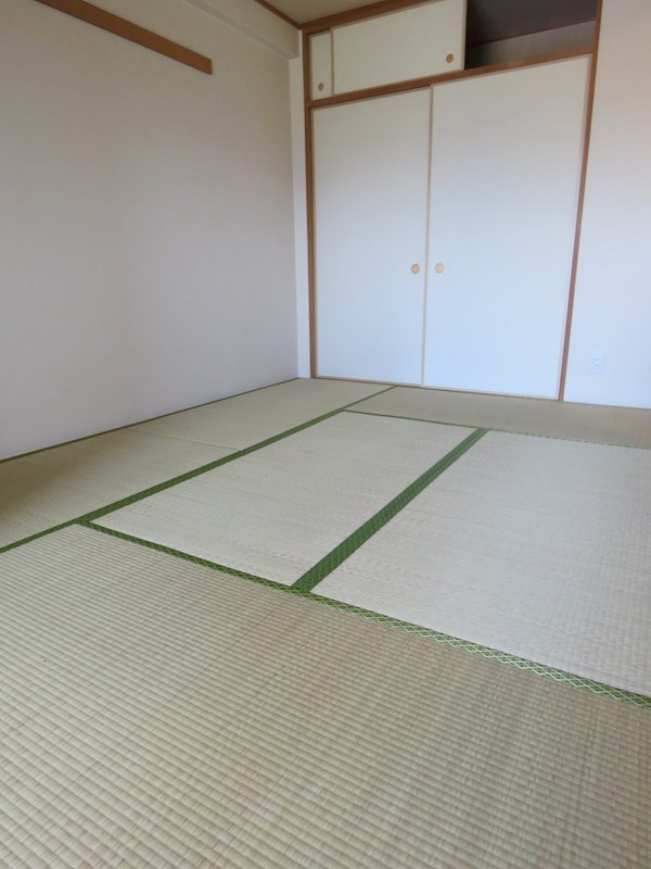 その他13