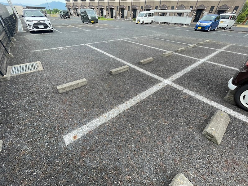 Bonheur　水郷  その他4