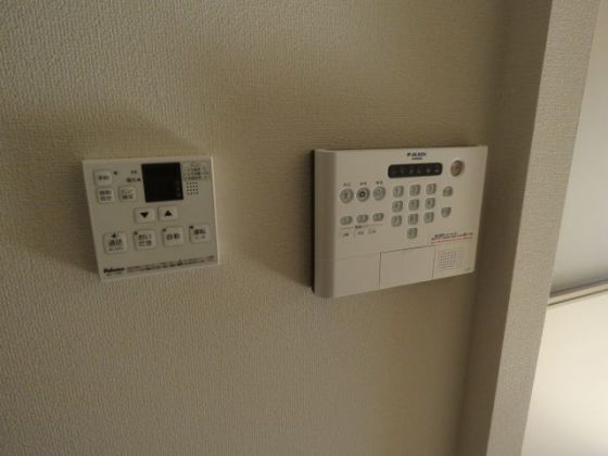 レウイシア その他8