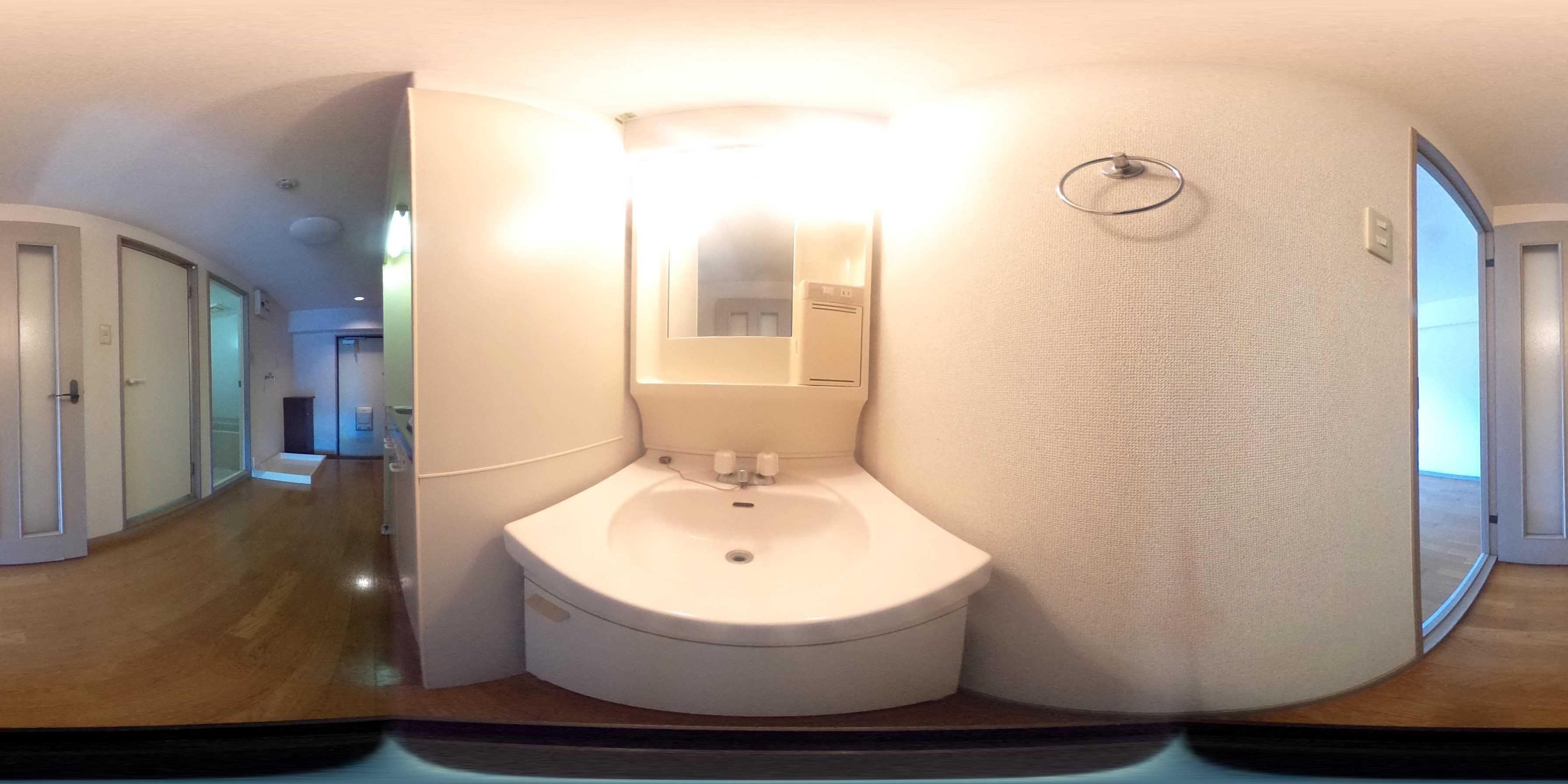 十一屋ブラウンシュガービル 洗面所