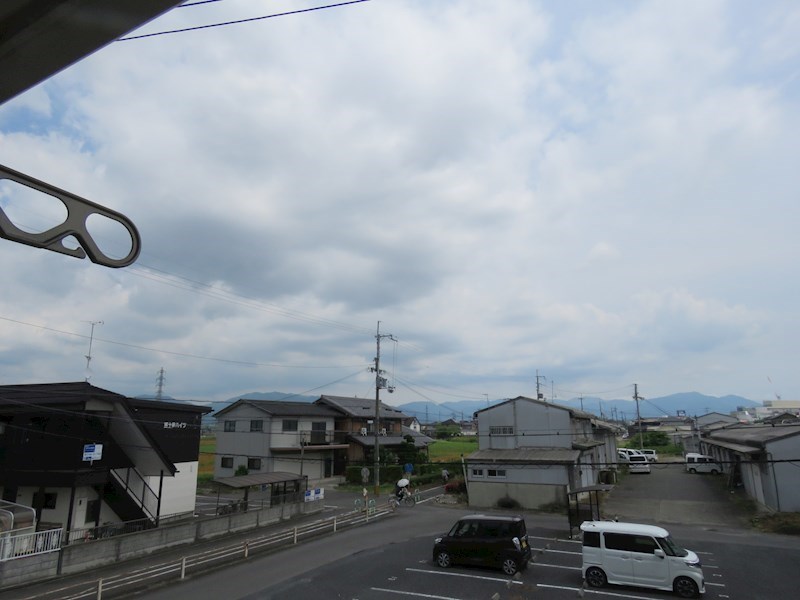 花水木 その他4