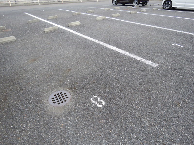 花水木 その他5