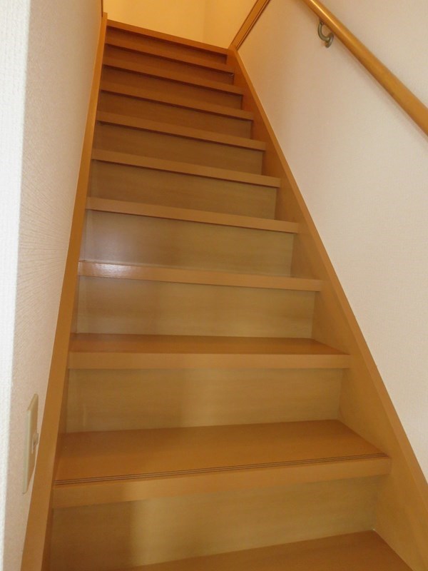 花水木 その他12