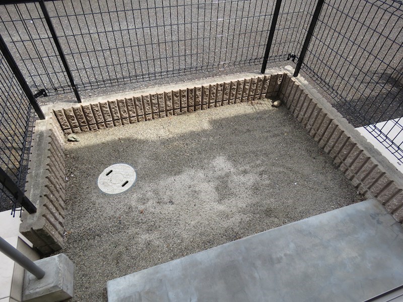 花水木 その他14