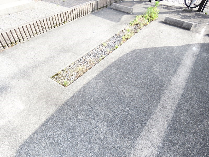 パティオス その他1