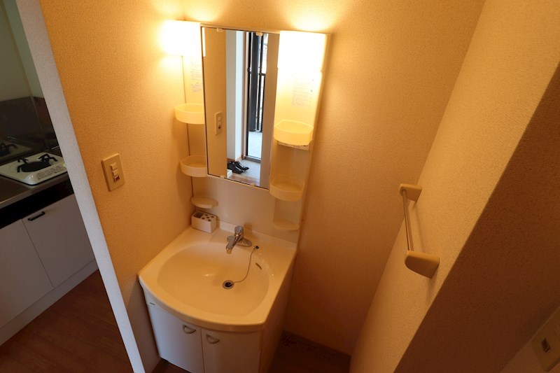 ボナール・ヴィーブルⅡ その他2