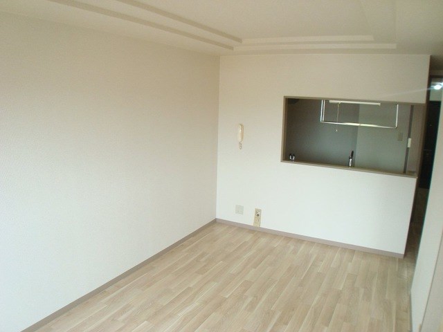 ステラ その他7