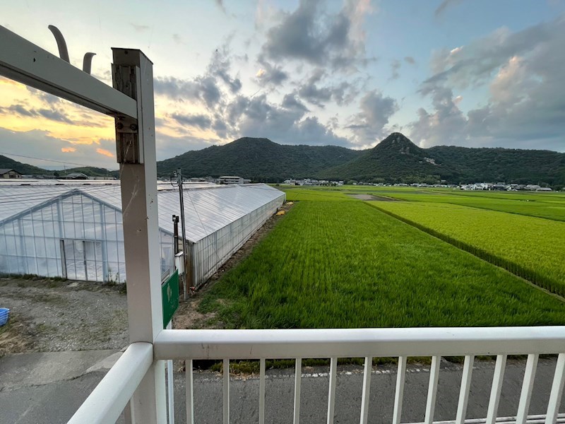 コミール小脇 その他5