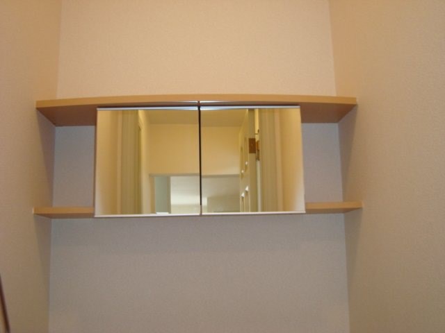 フィールド・ルミナスⅡ その他6