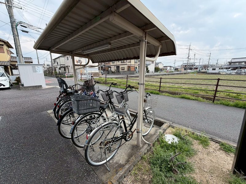 ピュアフレンド その他2