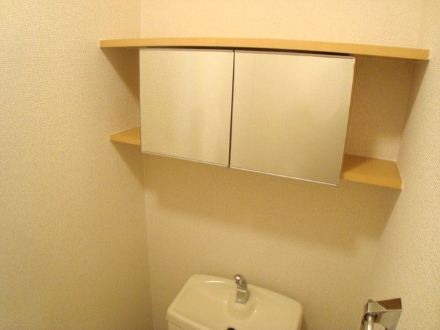 フィールド・ルミナスⅠ その他8