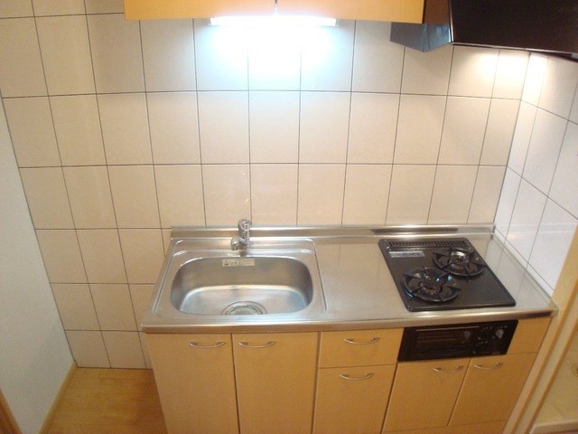 フィールド・ルミナスⅠ その他9