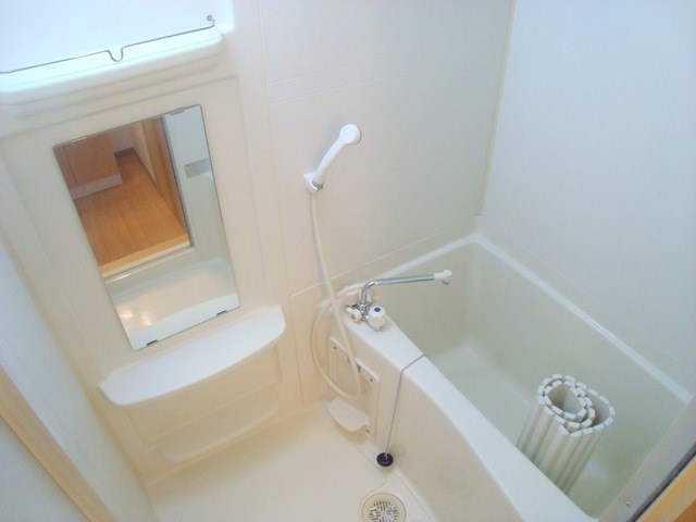 フィールド・ルミナスⅠ 風呂画像