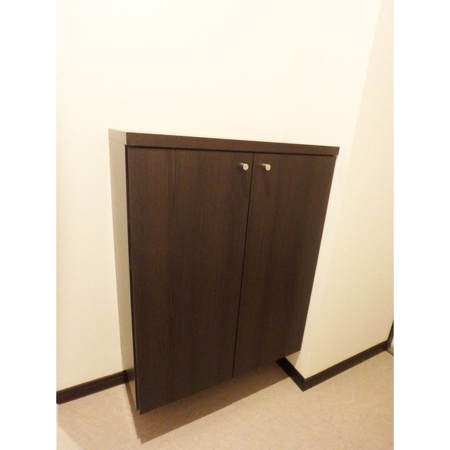 グラン ディアス 玄関