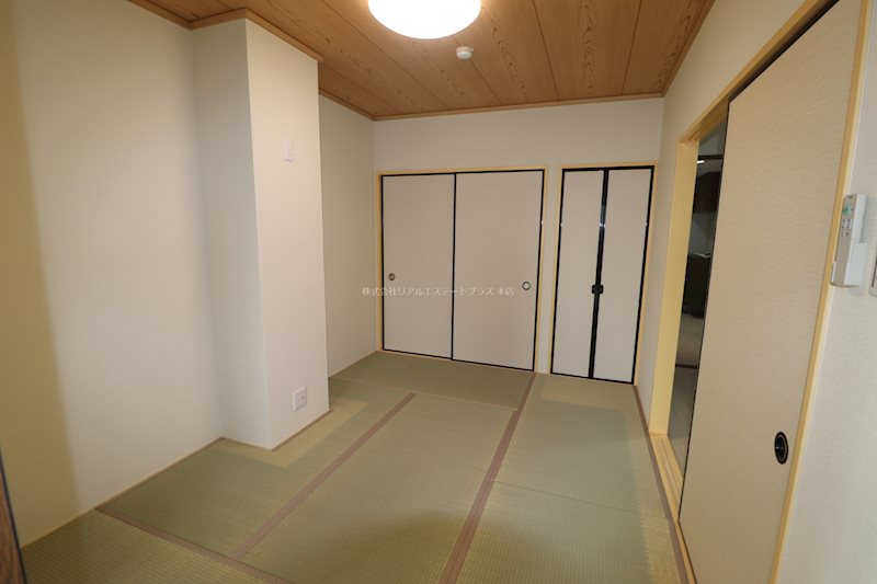 ロイヤルレインボー中主  その他10