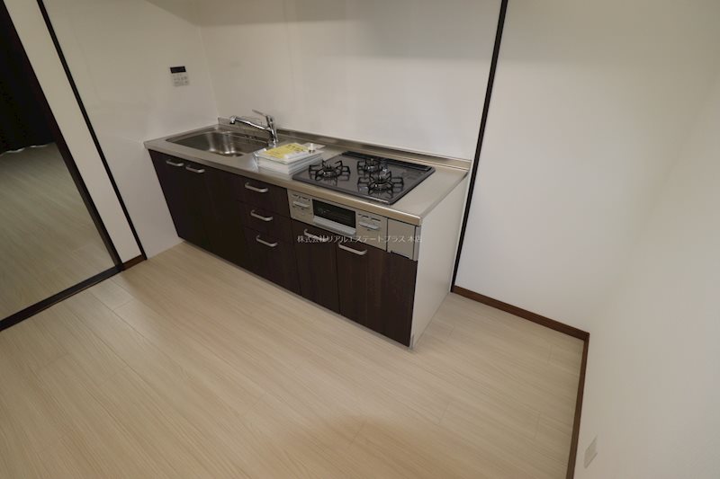 ロイヤルレインボー中主  その他11