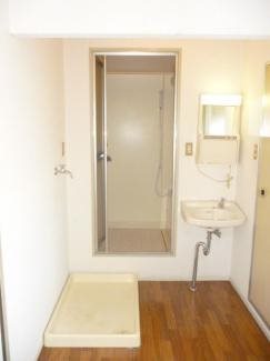 フラットアドニス その他2