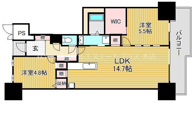 セルバ守山 1011号室 間取り