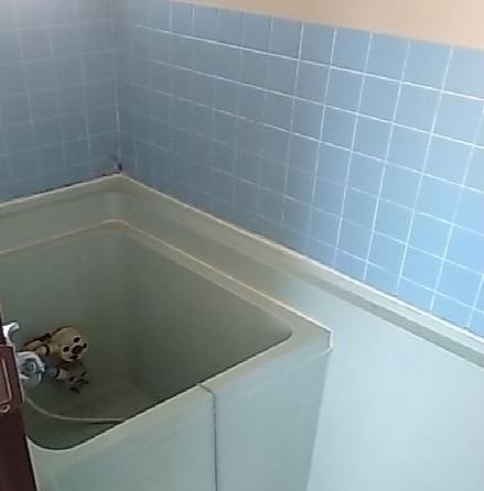 ウエルカムホームイースト 風呂画像