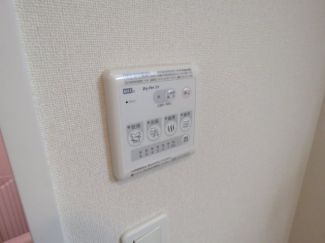 ルミナスローズ その他15