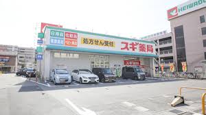 ライオンズステーションプラザ一番館 周辺画像2